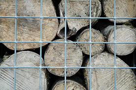csa architects leisure camel trail gateway building wadebridge cornwall.2194 14 csa architects leisure camel trail gateway building wadebridge cornwall.2194 14